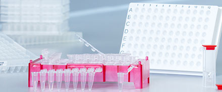 PCR & molecular biology
